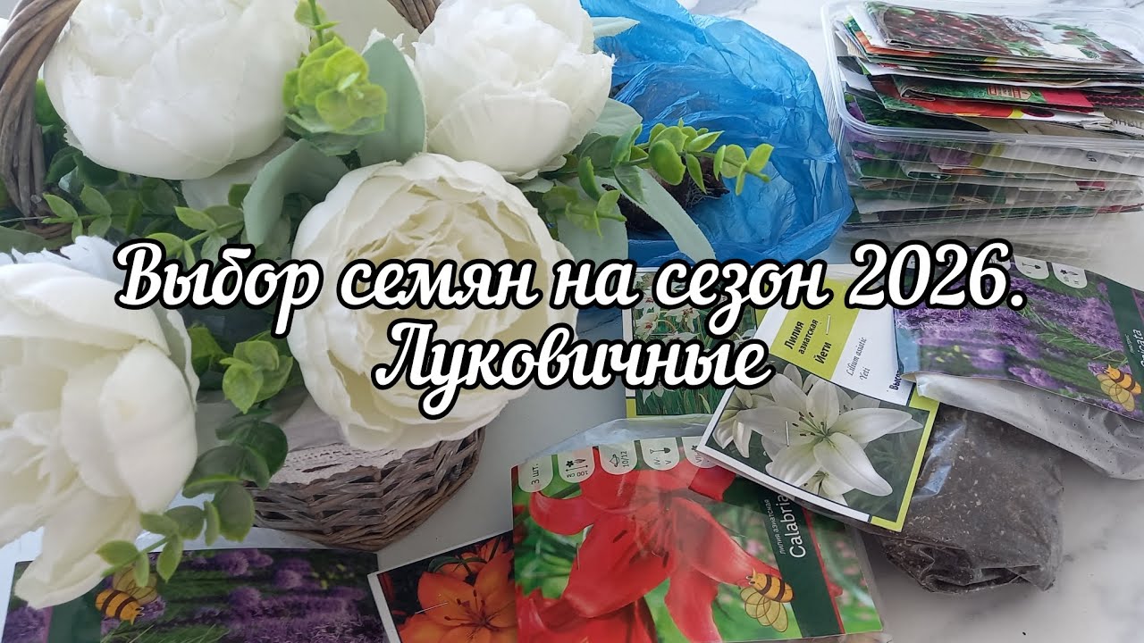 Выбор семян на новый сезон. Новинки луковичных