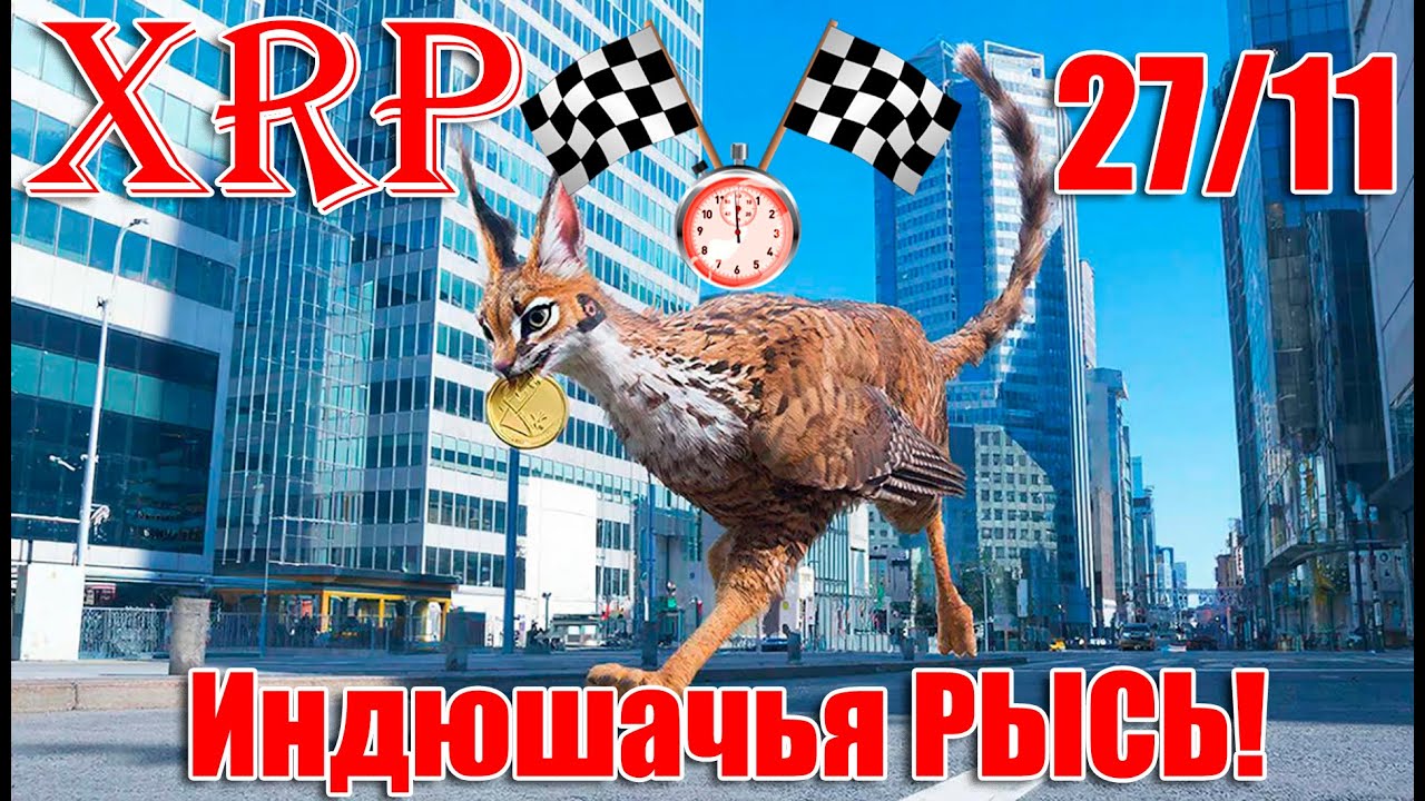 RIPPLE XRP B. Garlinghouse намекает на рост 27/11? 03/12 Стейкинг XRP от FIRELIGHT! 10/12 XRP 33$?