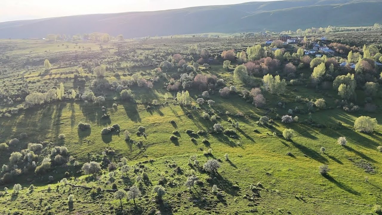 BİNGÖL/ADAKLI -Kale Köyü-(2)