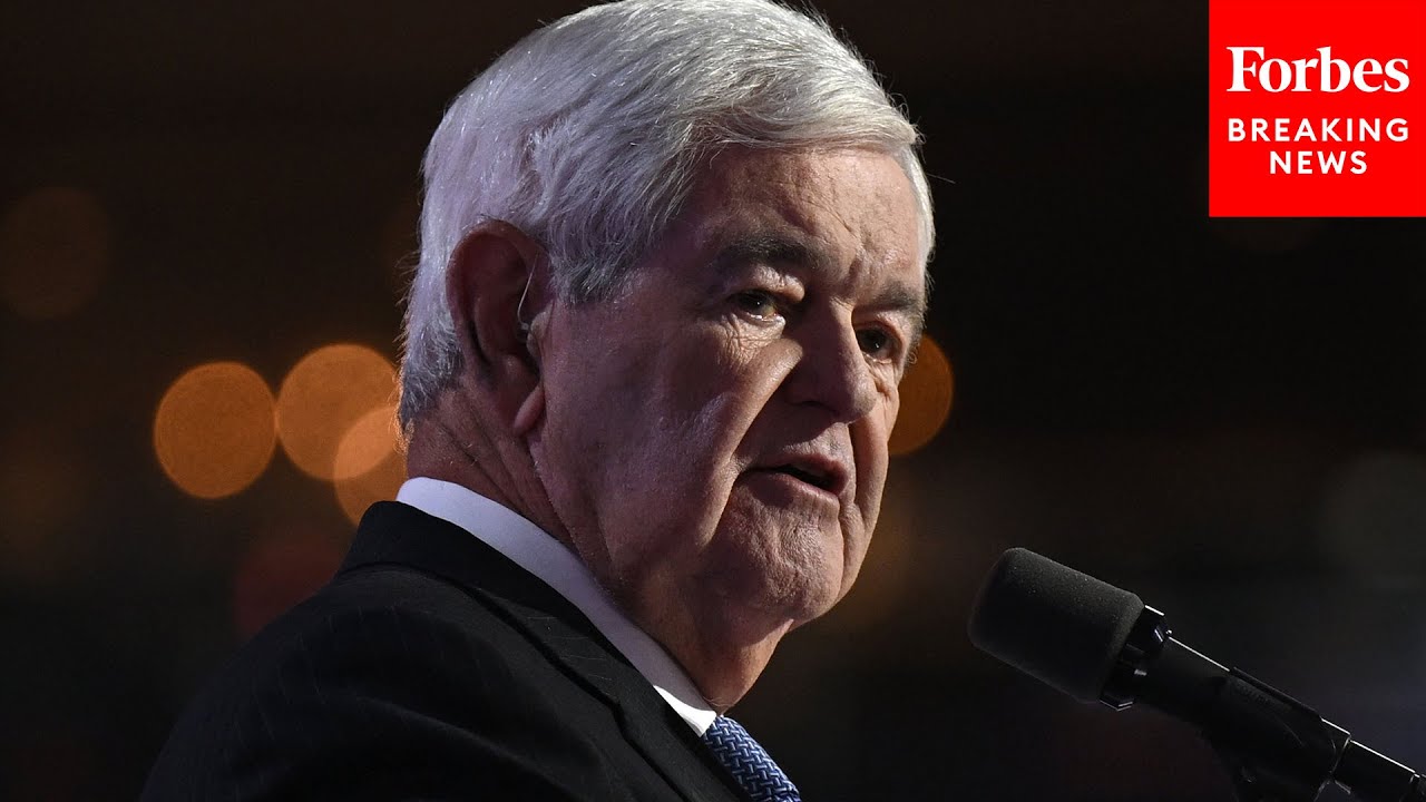 Newt Gingrich Tells The RNC This Is 'The Greatest Threat To American Safety'