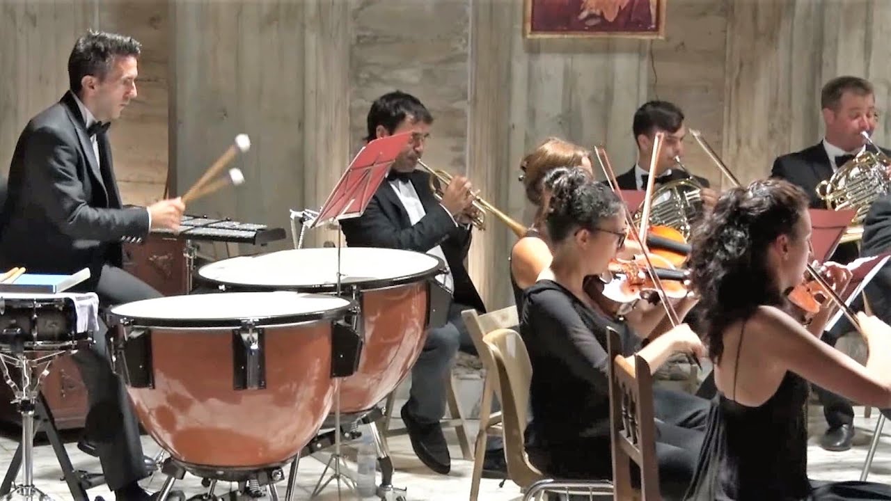 Johann Strauss - Wein, Weib und Gesang Walzer Op. 333 - Horst Sohm
