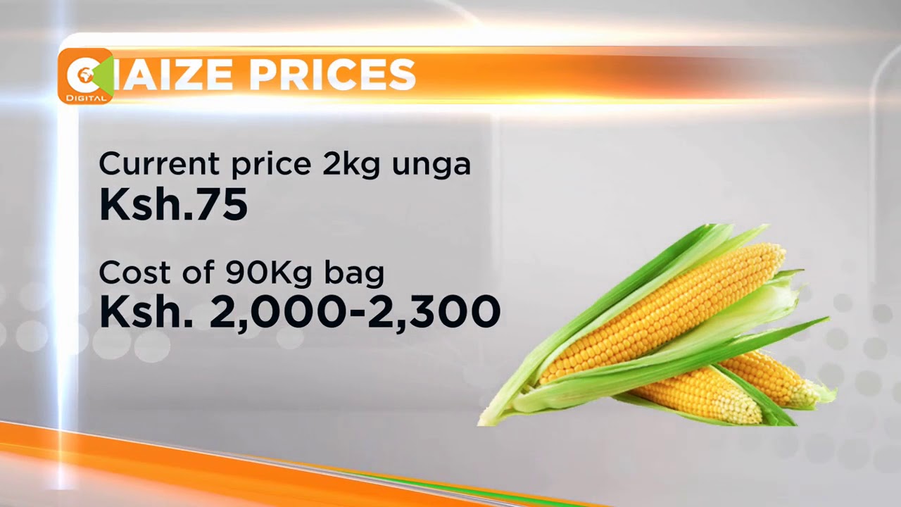 Costly ugali, maize flour prices to rise