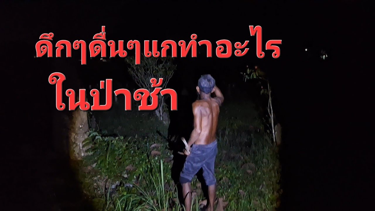 มืดๆค่ำๆเดินไปหาอะไรในปาช้า