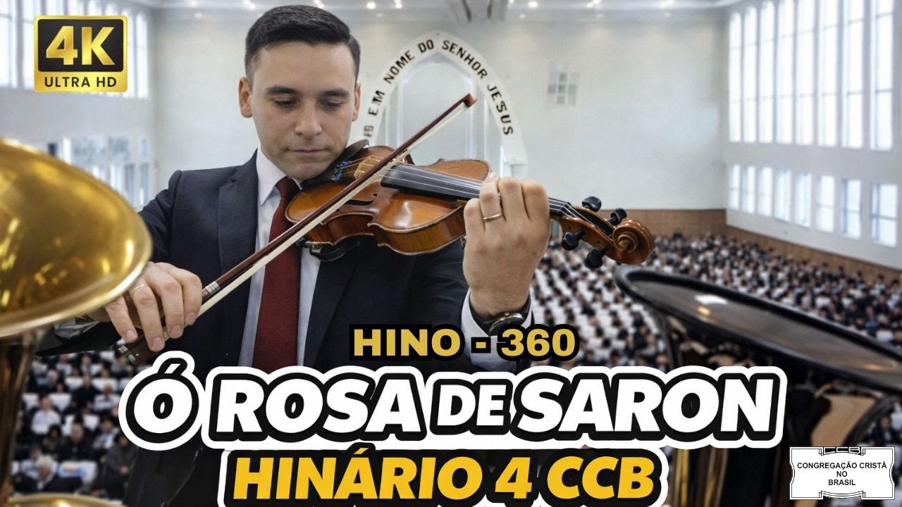 🎼 Hino 360 CCB - Ó Rosa de Saron | hinário 4🕊️ #hinosccb #ccb #cristo