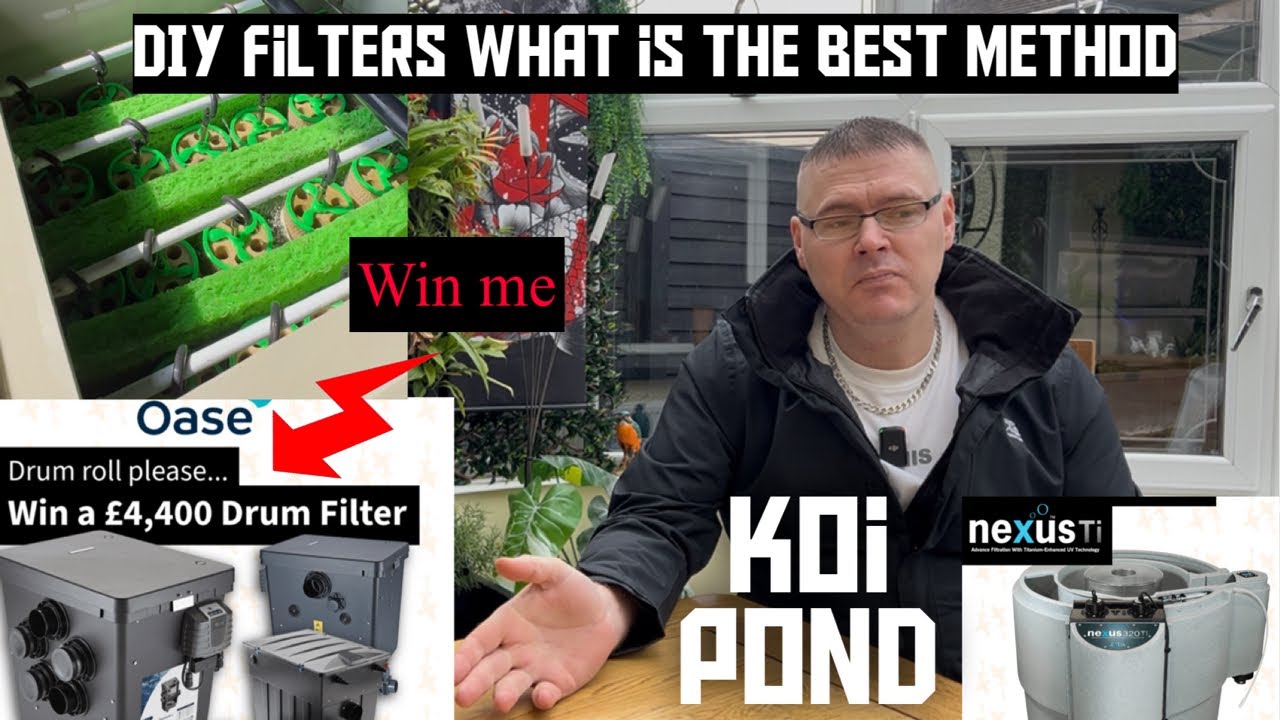 KOI POND FILTERS !!! WHAT IS THE BEST DIY FILTERS OR DRUM FILTERS
