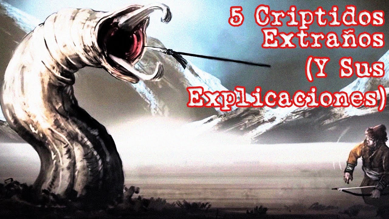 5 Criptidos Extraños (Y Sus Explicaciones) - Criptozoología #9