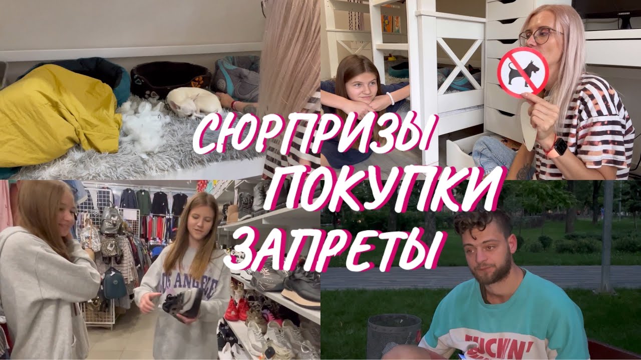 ВЛОГ. Сюрприз от Добби. Шоппинг для Киры. Запрет собак. Ситуация с Данилом.