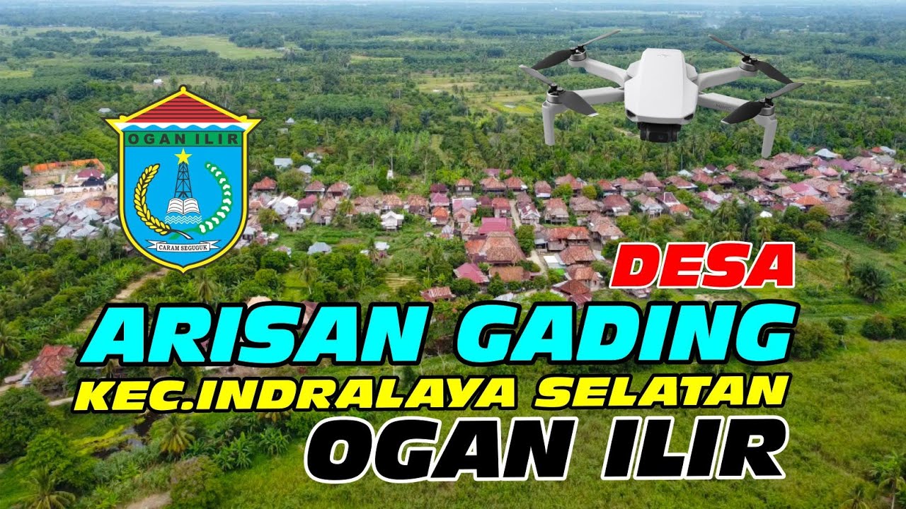 Desa Arisan Gading Kec Indralaya Selatan Ogan Ilir Sumatera Selatan ( Mavic Mini )