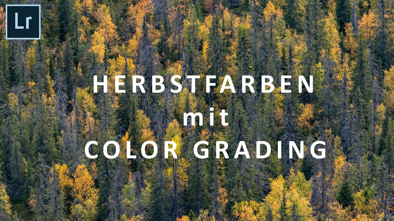 Lightroom COLOR GRADING für PERFEKTE HERBSTFARBEN
