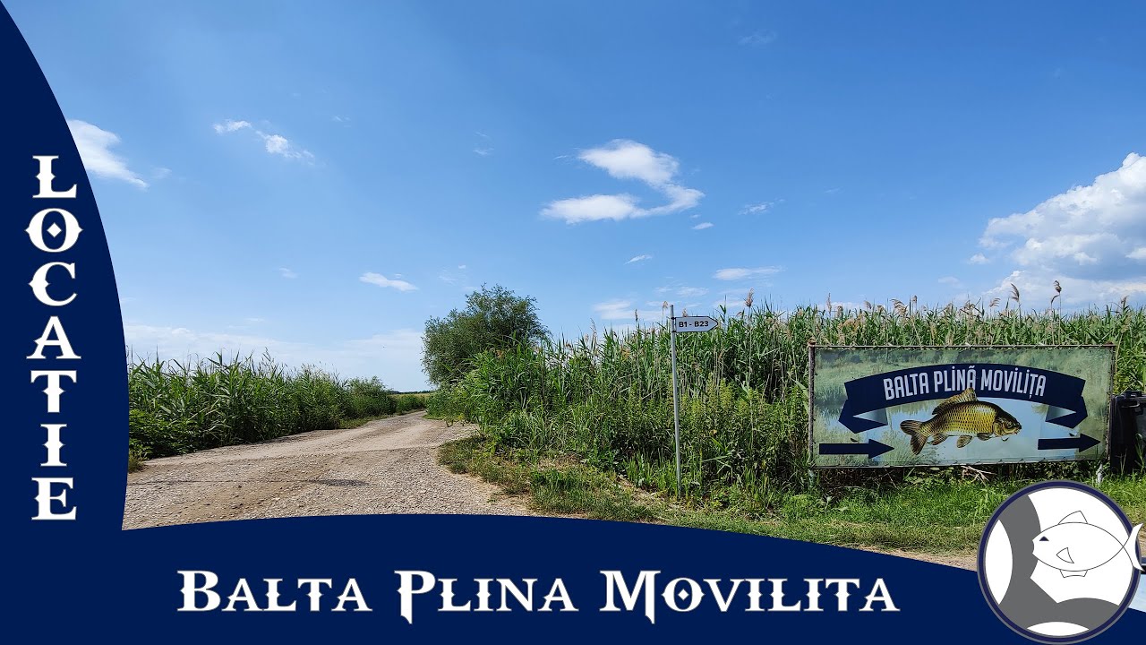 Prezentare locatie...Balta Plina Movilita