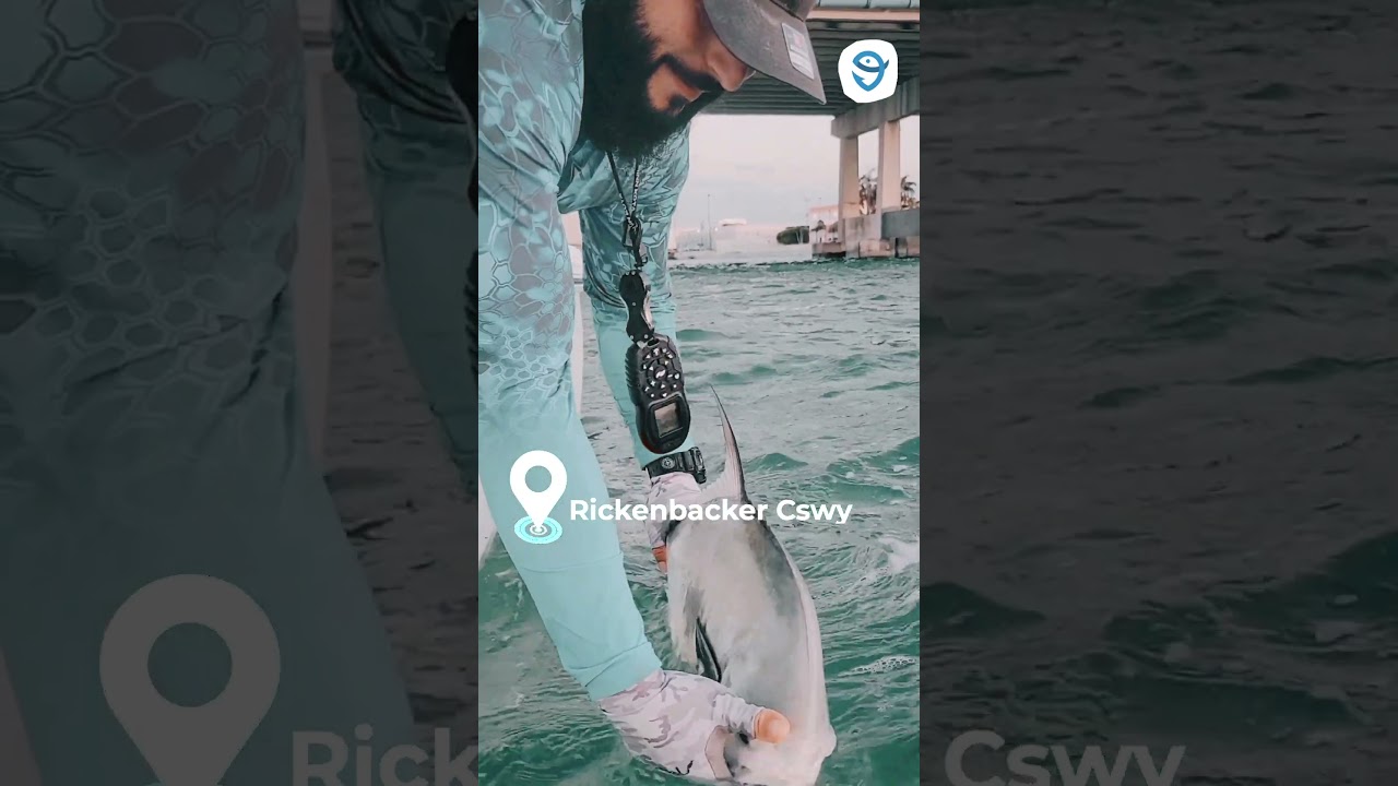 🎣 Top Fishing Spots in Miami-Dade County #shorts