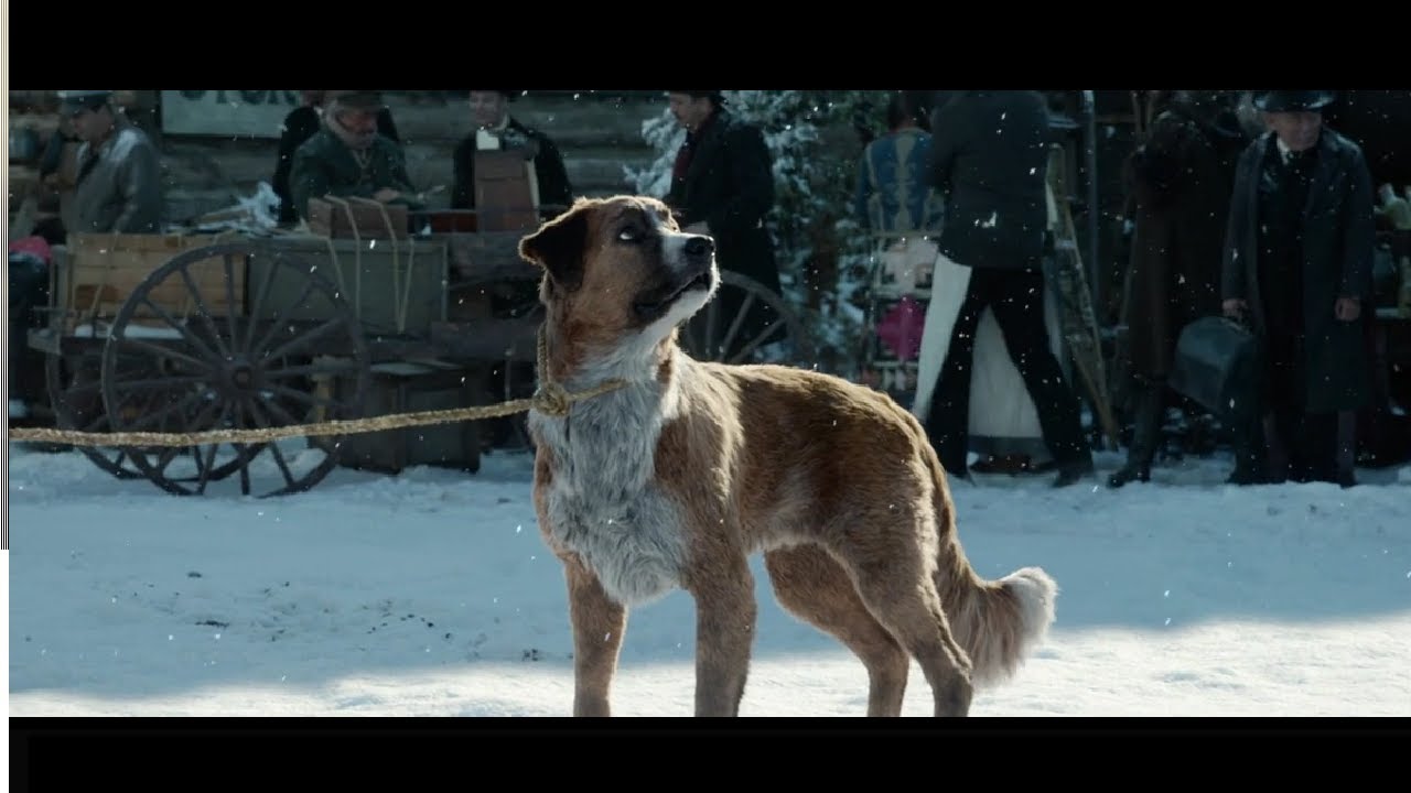 The True Leader | Buck's Arrival in Alaska