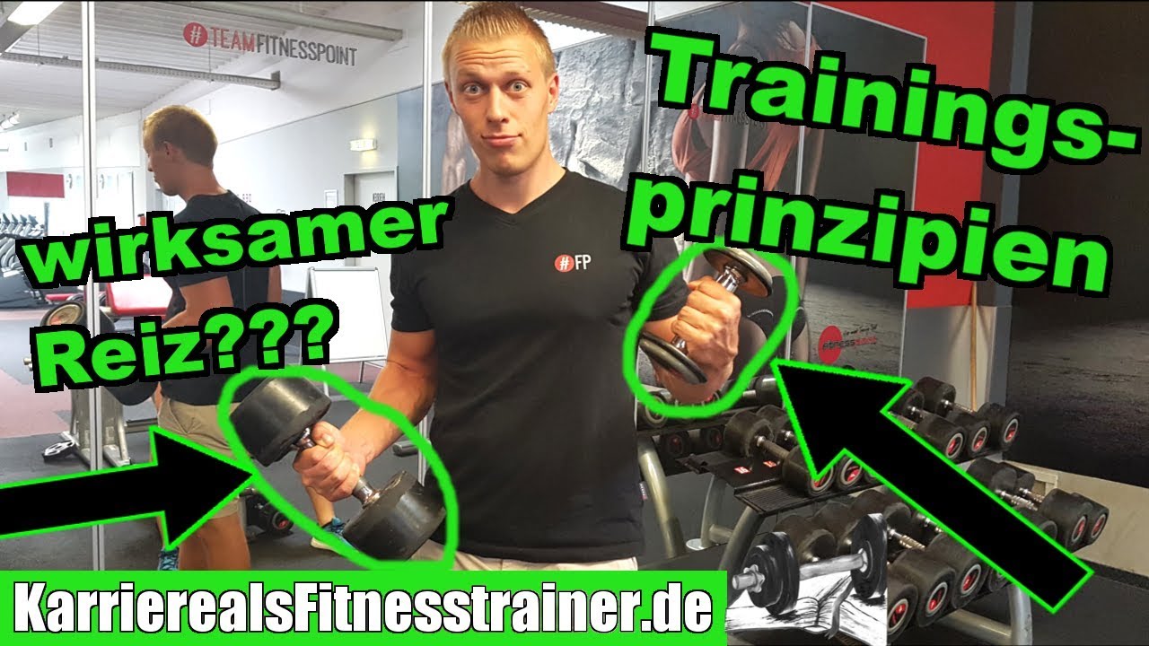 Die 6 wichtigsten Trainingsprinzipien einfach erklärt + persönliche Meinung
