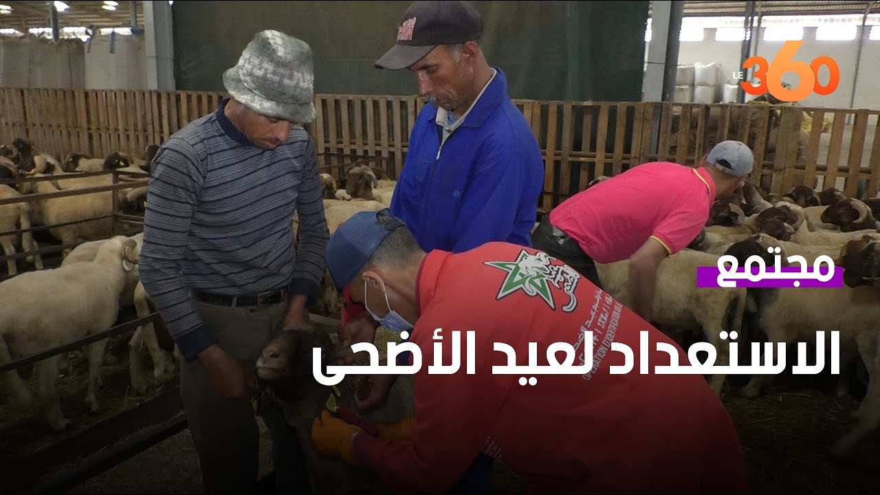 هكذا تعمل مصالح 