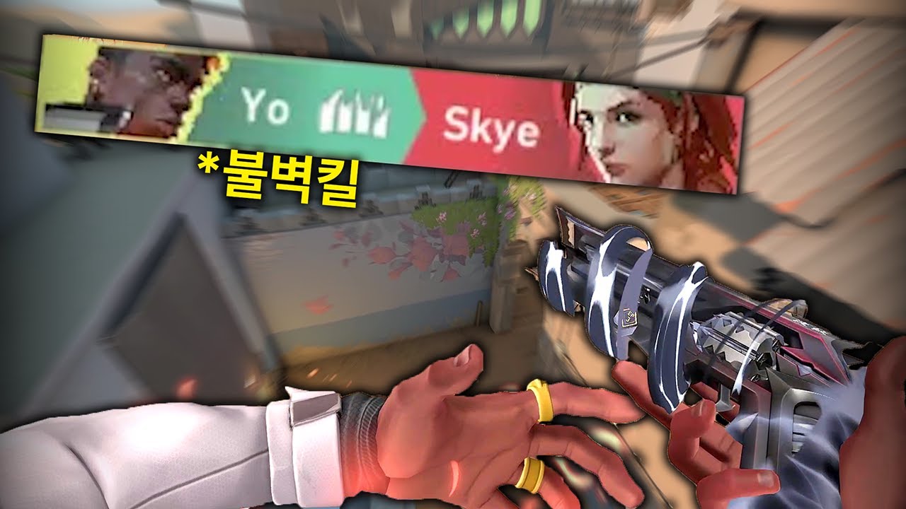 피닉스를 3000판 이상 하면 할수있는 미ㅡ친 스킬활용 ㅋㅋ