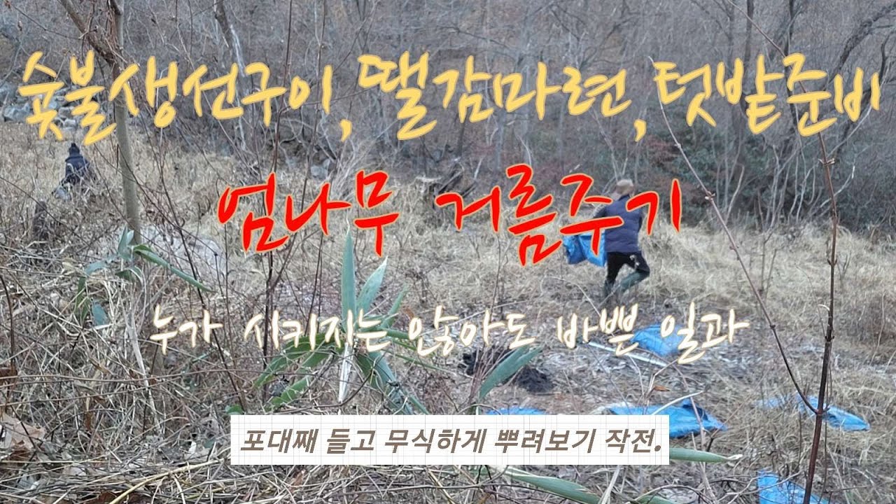 #지리산에서 놀자10(생선구이,엄나무거름주기,기계톱으로 나무하기)