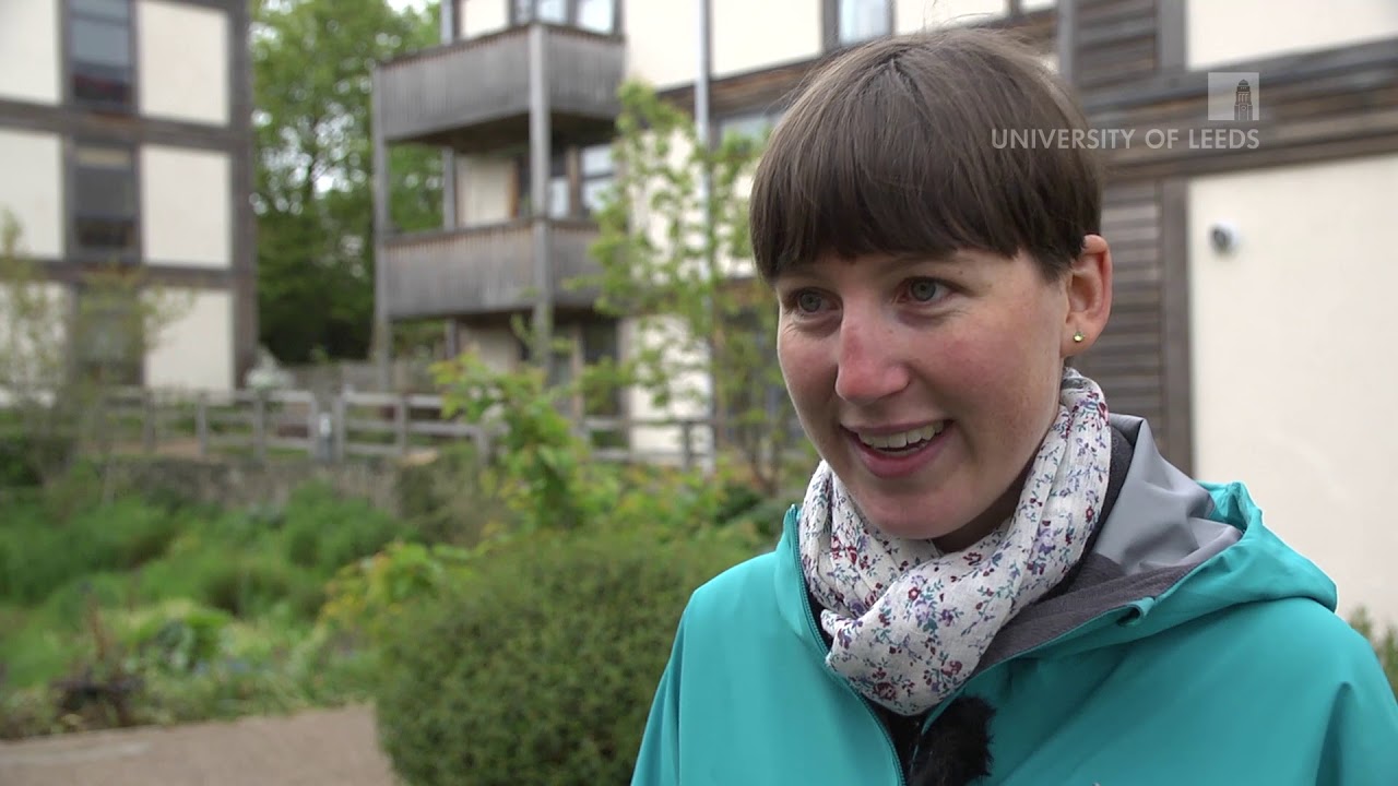 Studying Sustainable Cities MSc at the University of Leeds