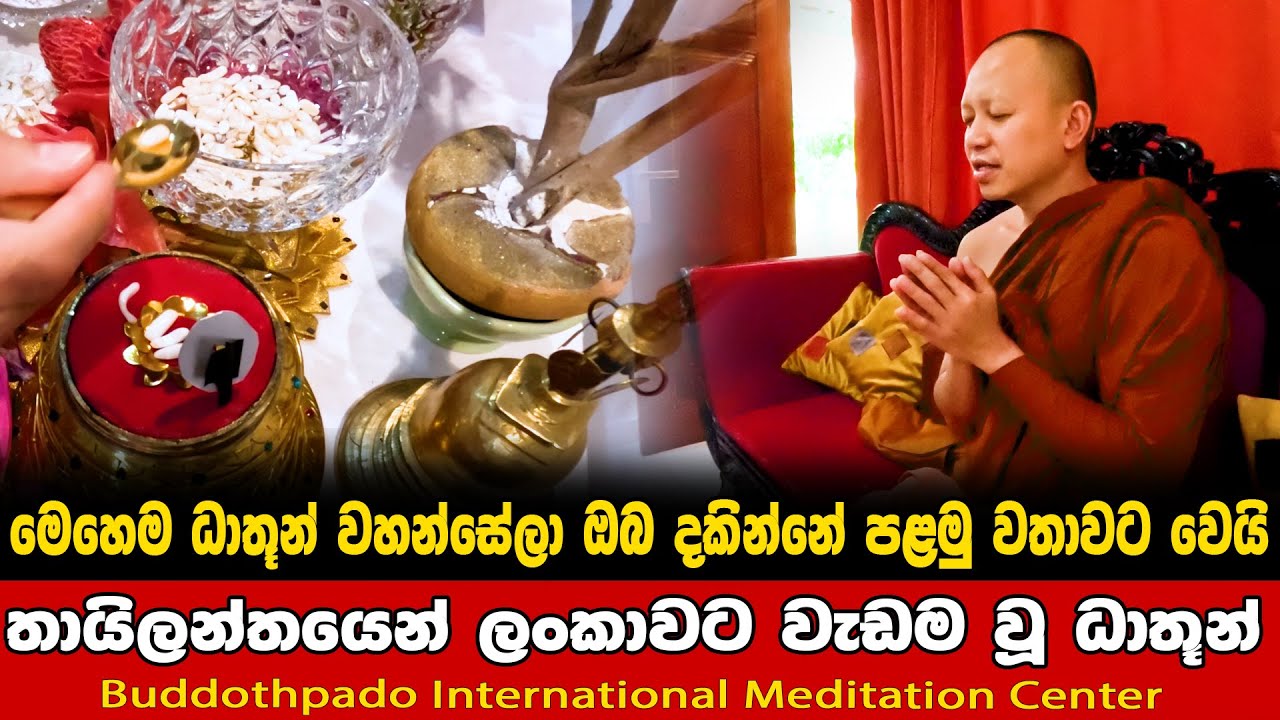 තායිලන්තයෙන් වැඩම කළ සර්වඥ ධාතූන්වහන්සේලා ☸☸  | Buddothpado International Meditation Center