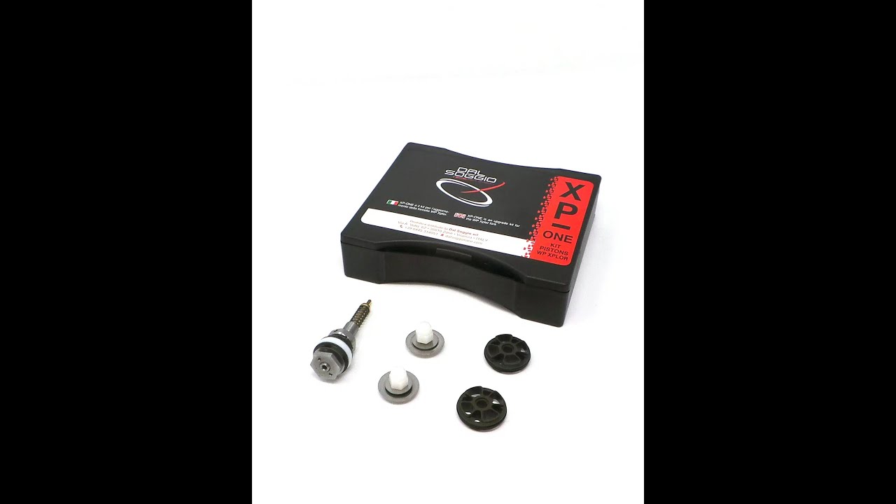 Dal Soggio XP-One kit installation -Xplor48 forks with an AlpineXC Reds cone valves