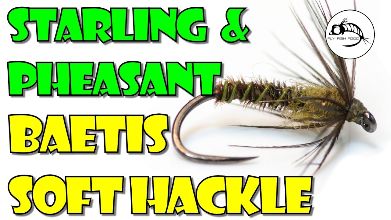 Fly Tying Tutorial: Blue Winged Olive Soft Hackle by Fly Fish Food