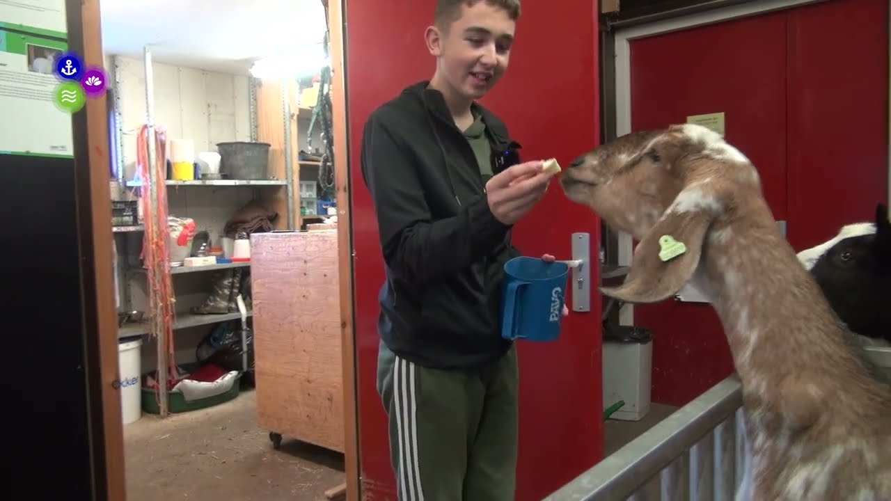 Sven's passie voor de kinderboerderij