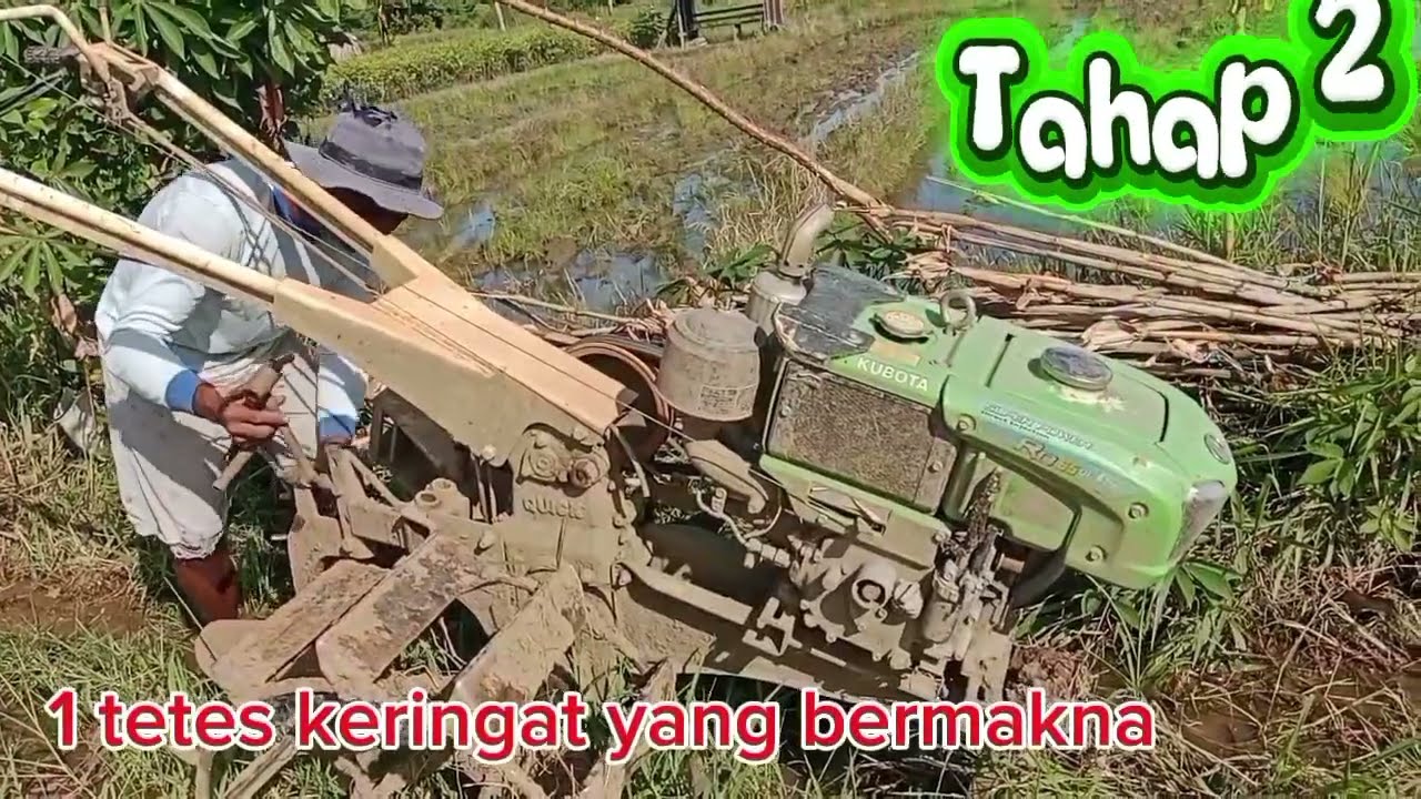 Part 1: nyemai padi, tanam menggunakan mesin . #kehidupanseharihari #wargatransmigrasi #papuabarat 