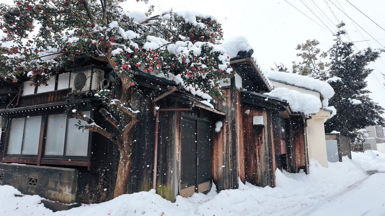 雪の越前市・武生 - Snowy Echizen, Takefu: Nostalgic Streets & Daytime Snack Bars【4K Japan Walk】