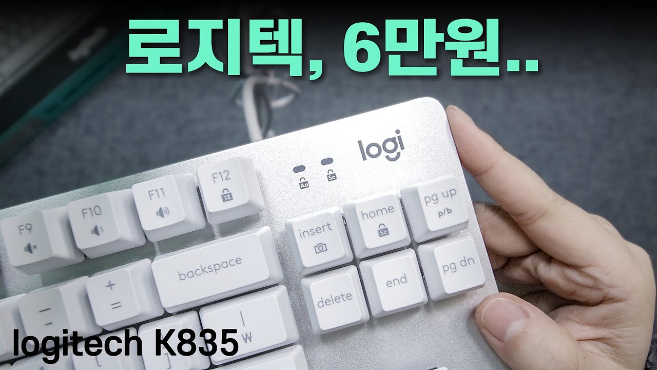 가성비..이거 맞아?? (로지텍 K835)