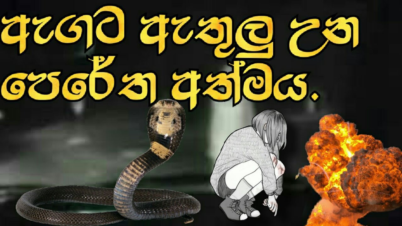 දෙවියෝ වැහුන කොල්ලා | සත්‍ය සිදුවීමක් | #sllakshitha #deranatv #deweni_inima #holman #chanuxbro #jok