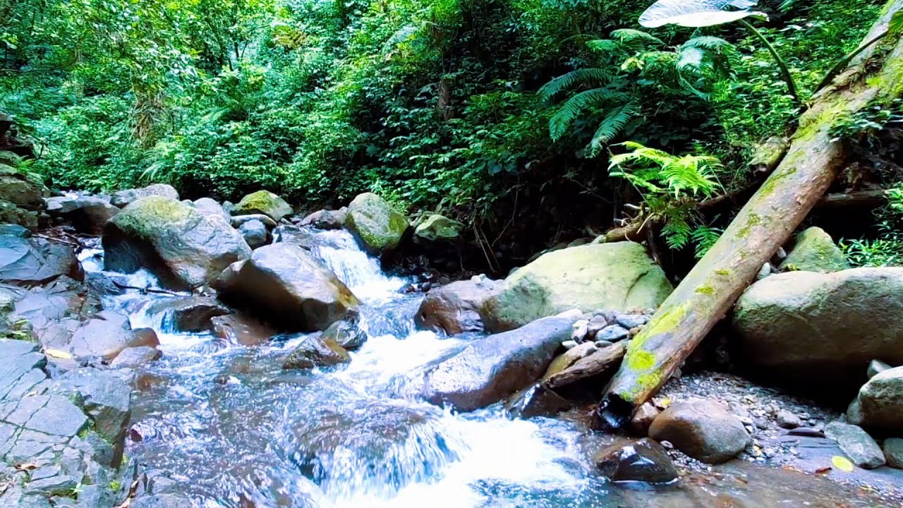 Mountain River Sounds for Relaxed Nights