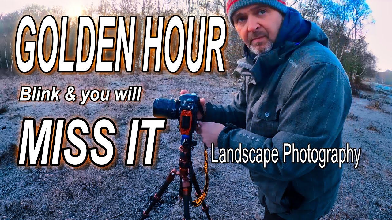 GOLDEN HOUR LANDSCAPE PHOTOGRAPHY | THE NEW FOREST