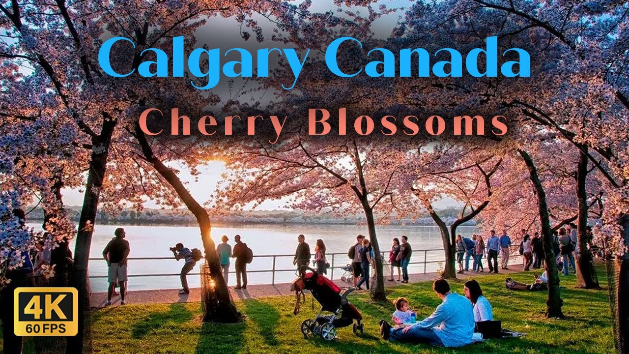 【4K】Calgary&rsquo;s Prince&rsquo;s Island Park Sunset Walking Tour | Family Fun #canada #calgary #4kvideo #4k