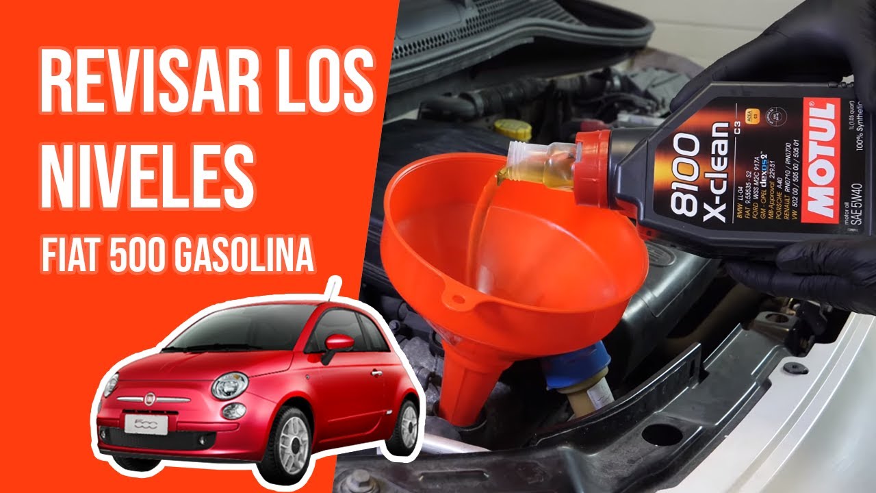 Cómo revisar los niveles Fiat 500 1.2 8V 📏