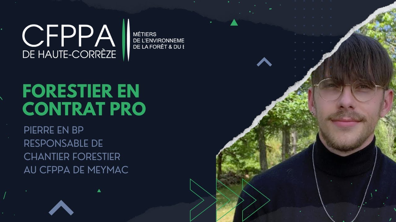 Témoignage de Pierre, forestier en contrat pro