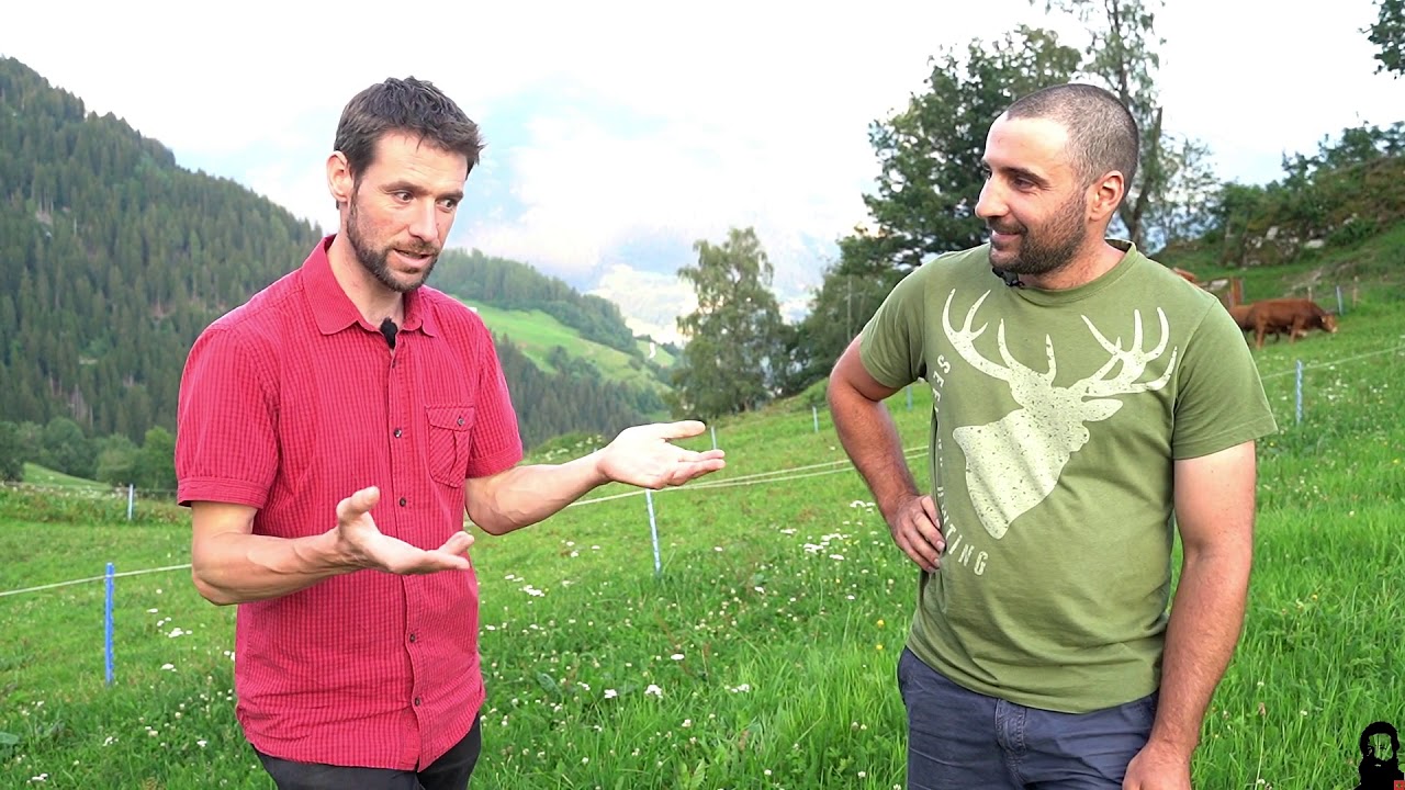 Innovation in der Alp-Landwirtschaft?  Elias Casanova aus Siat (GR) - 