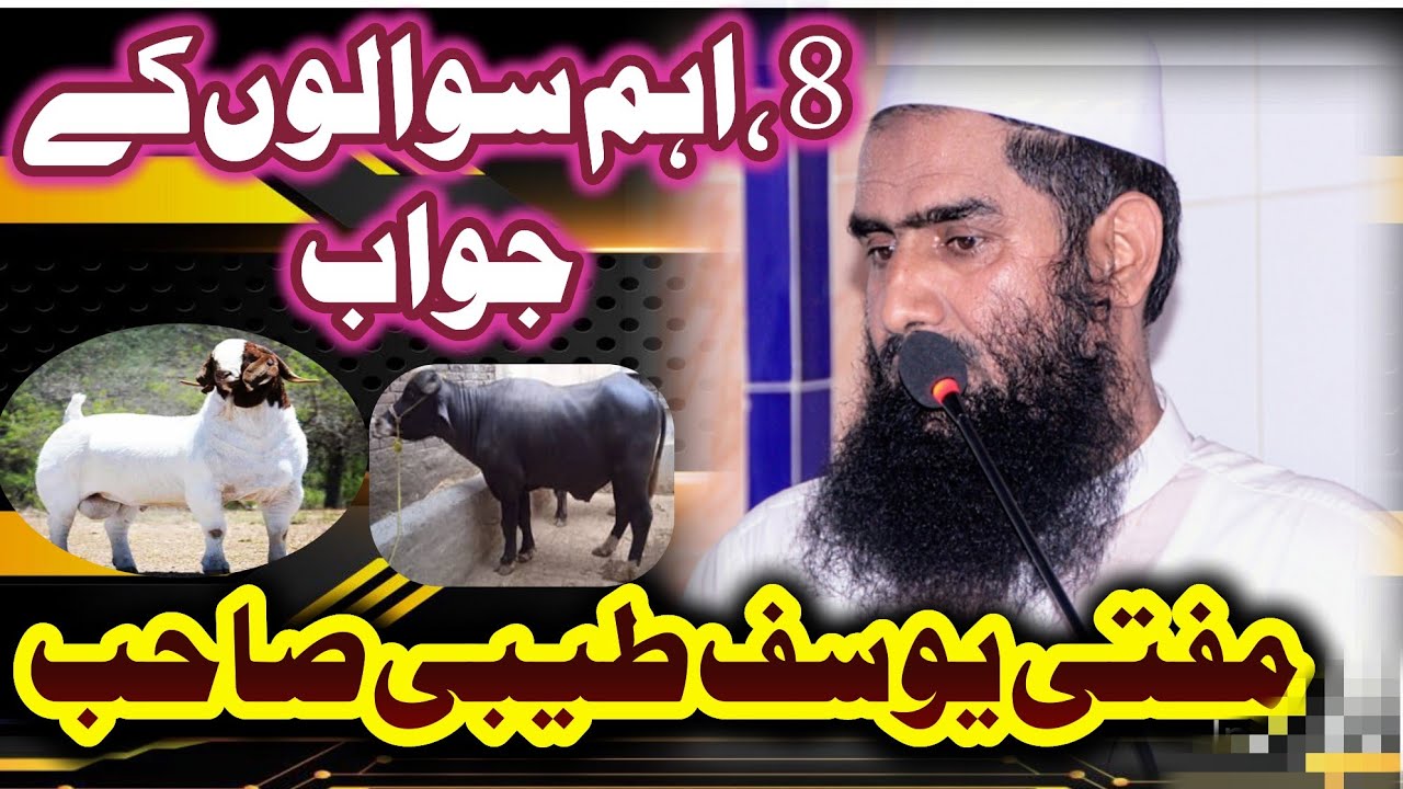 Mufti Muhammad Yousaf Taibi Islamic Scholar ||  مفتی محمد یوسف طیبی صاحب فاضل مدینہ یونیورسٹی