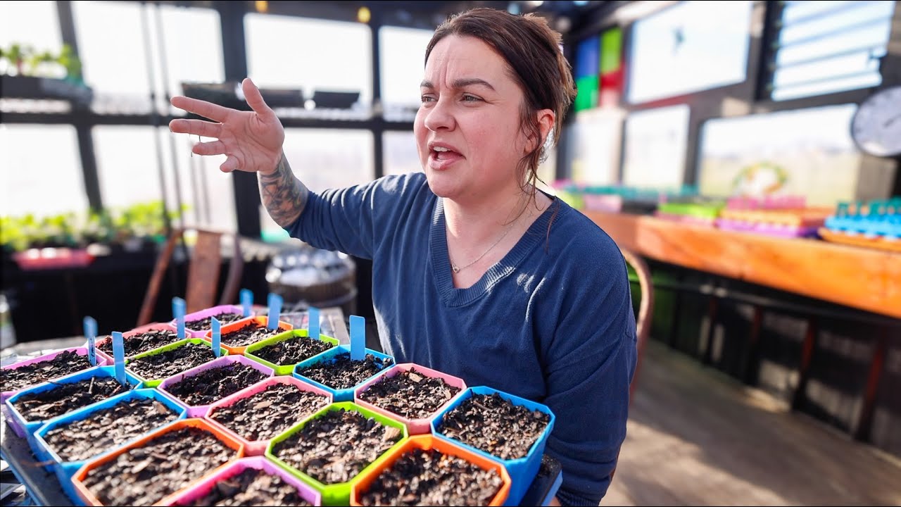 Making My Own Seed Bank (A world with GMO Tomatoes) | CHAT