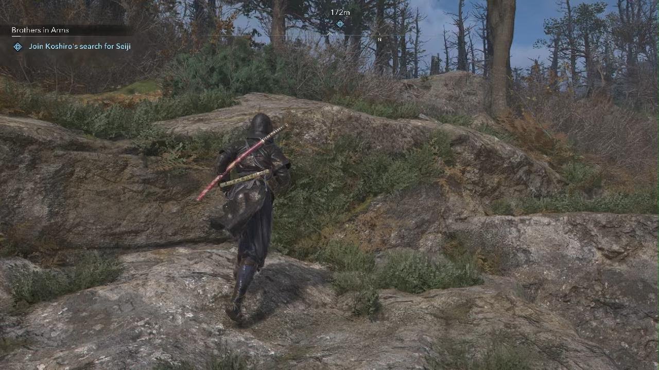 Assassin's Creed Shadows_RANDom fight clip