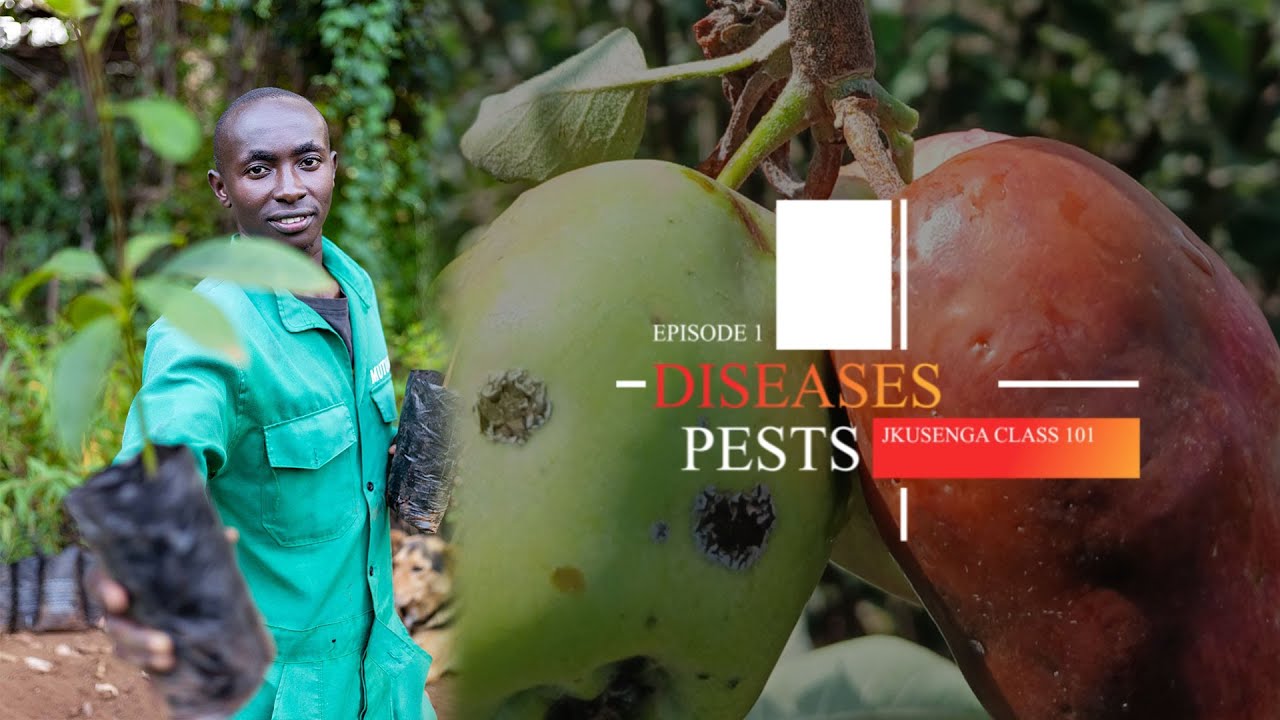 Save Your Apple Trees: Organic Pest and Disease Management Strategies #farming #applehealth