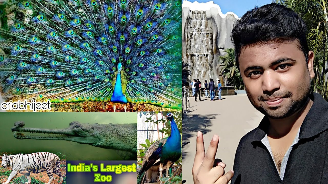 A Day in India's Largest & Biggest Zoo | Vandalur Zoo Chennai/Arignar Anna Zoological Park | Vlog#12