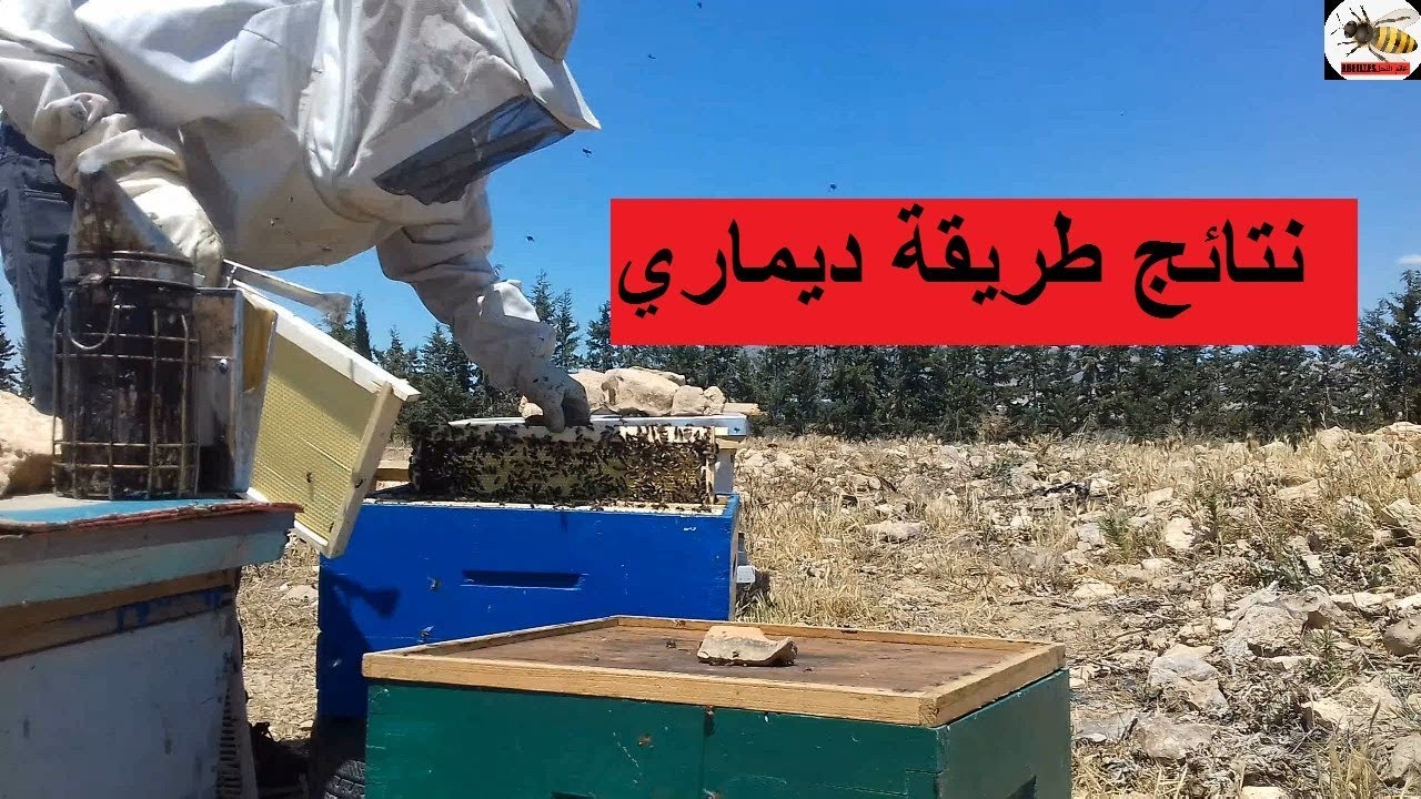 نتــائج تطبيق طريقة ديماري على خليتي الحلقة الحلقة الثانية/demaree method