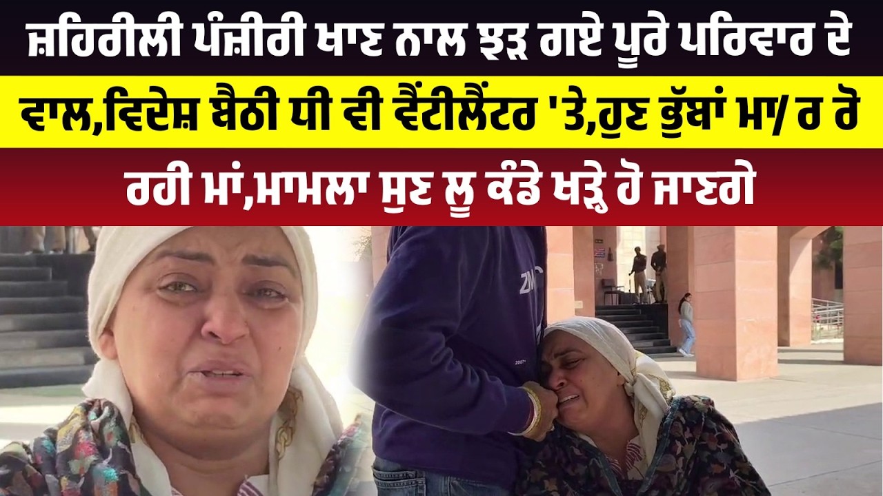 ਜ਼ਹਿਰੀਲੀ ਪੰਜ਼ੀਰੀ ਖਾਣ ਨਾਲ  ਝੜ ਗਏ ਪੂਰੇ ਪਰਿਵਾਰ ਦੇ ਵਾਲ,ਵਿਦੇਸ਼ ਬੈਠੀ ਧੀ ਵੀ ਵੈਂਟੀਲੈਂਟਰ 'ਤੇ,ਹੁਣ ਭੁੱਬਾਂ ਮਾ/ਰ....