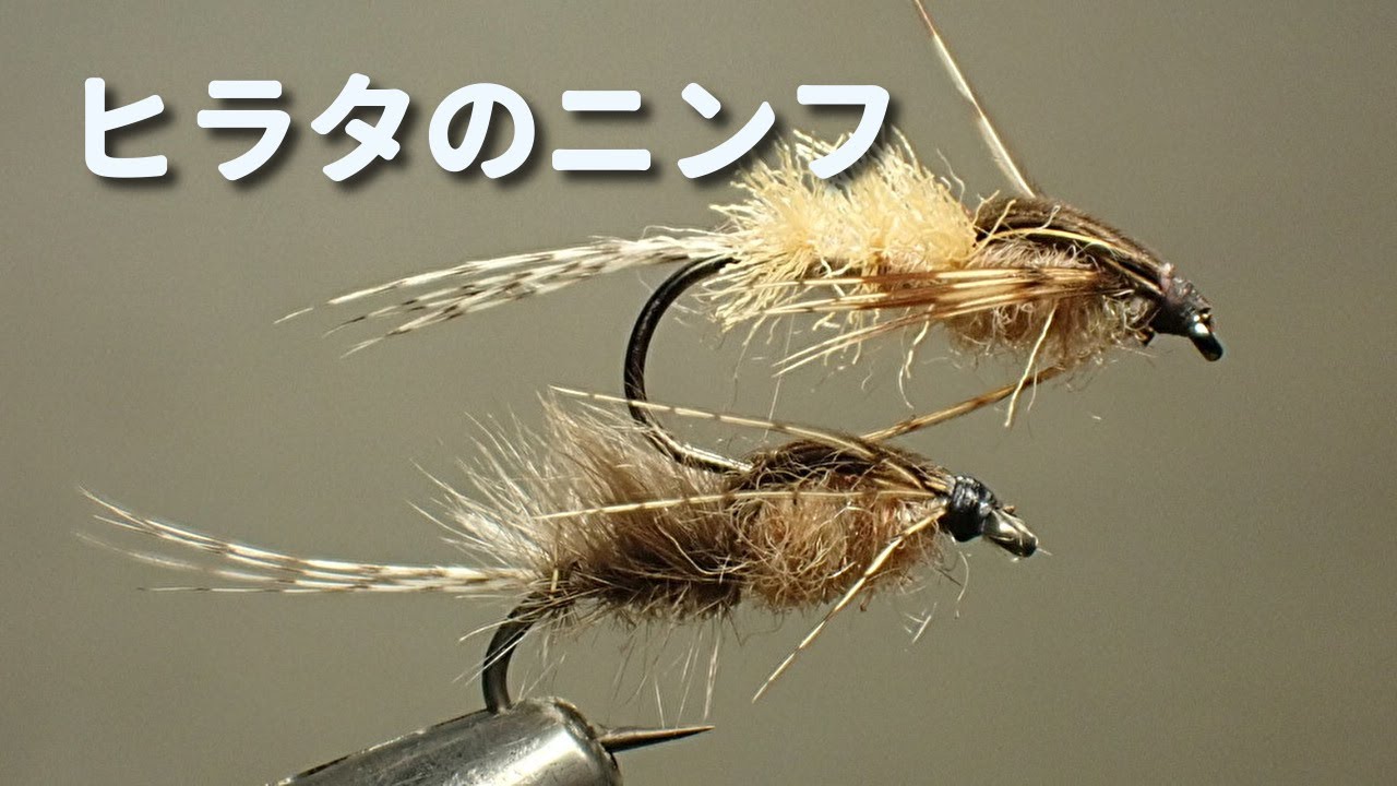 ヒラタのニンフ