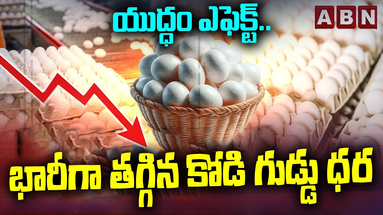 iran israel war Effect :యుద్ధం ఎఫెక్ట్ ..భారీగా తగ్గిన కోడి గుడ్డు ధర |Egg Prices have Dropped | ABN