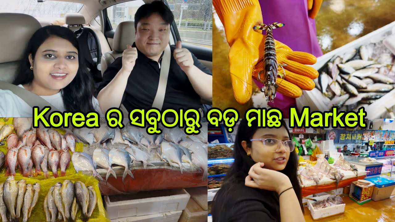 ଶଶୁରଙ୍କ ସହ ଗଲି ଦେଖିବାକୁ Korea ର ସବୁଠାରୁ ବଡ଼ ମାଛ Market🐟🦐🦀..
