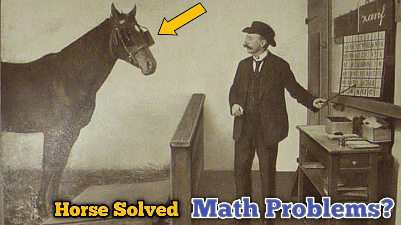 Horse That Fooled Scientists: Story of Clever Hans That Changed Psychology Forever #CleverHans