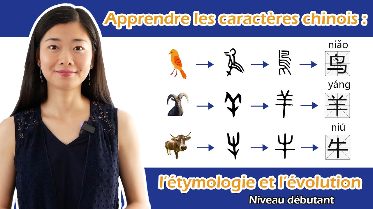 Mémoriser rapidement les caractères chinois #3 : 鸟 羊 牛 en apprenant leur étymologie et évolution