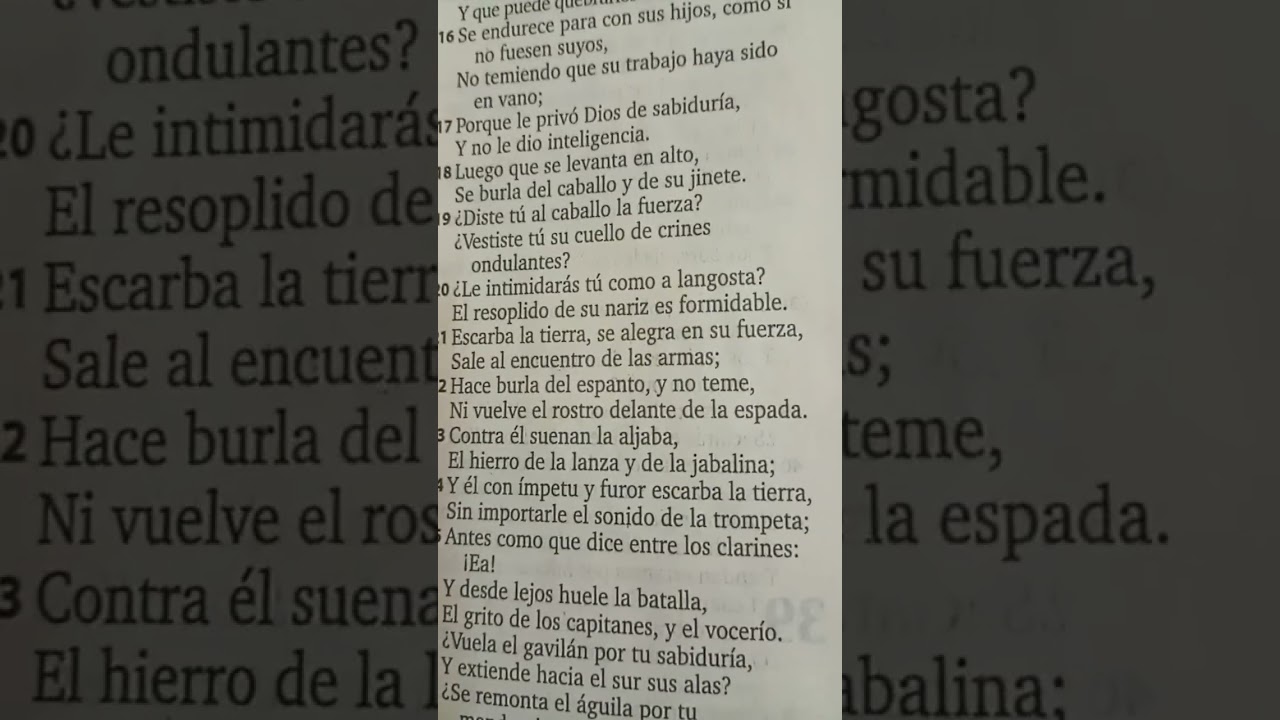 Palabra de Dios,Job 39 Gracias Dios