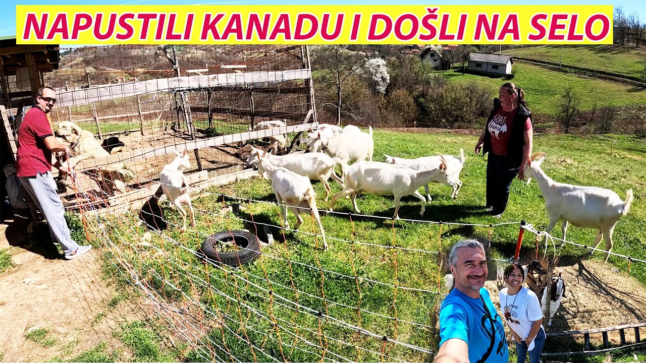 SVE OSTAVILI U KANADI I VRATILI SE SEOSKOM ŽIVOTU U BOSNI