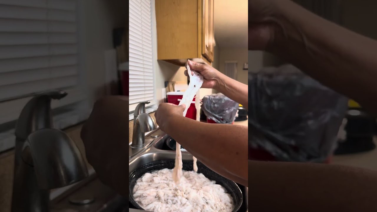 How to clean Chitterlings… Part 2